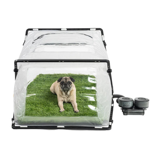 Dog inside MIRA Safety Deluxe Collapsible CBRN Animal Ark Pet Cage Gas Mask PAPR 53x33x26"